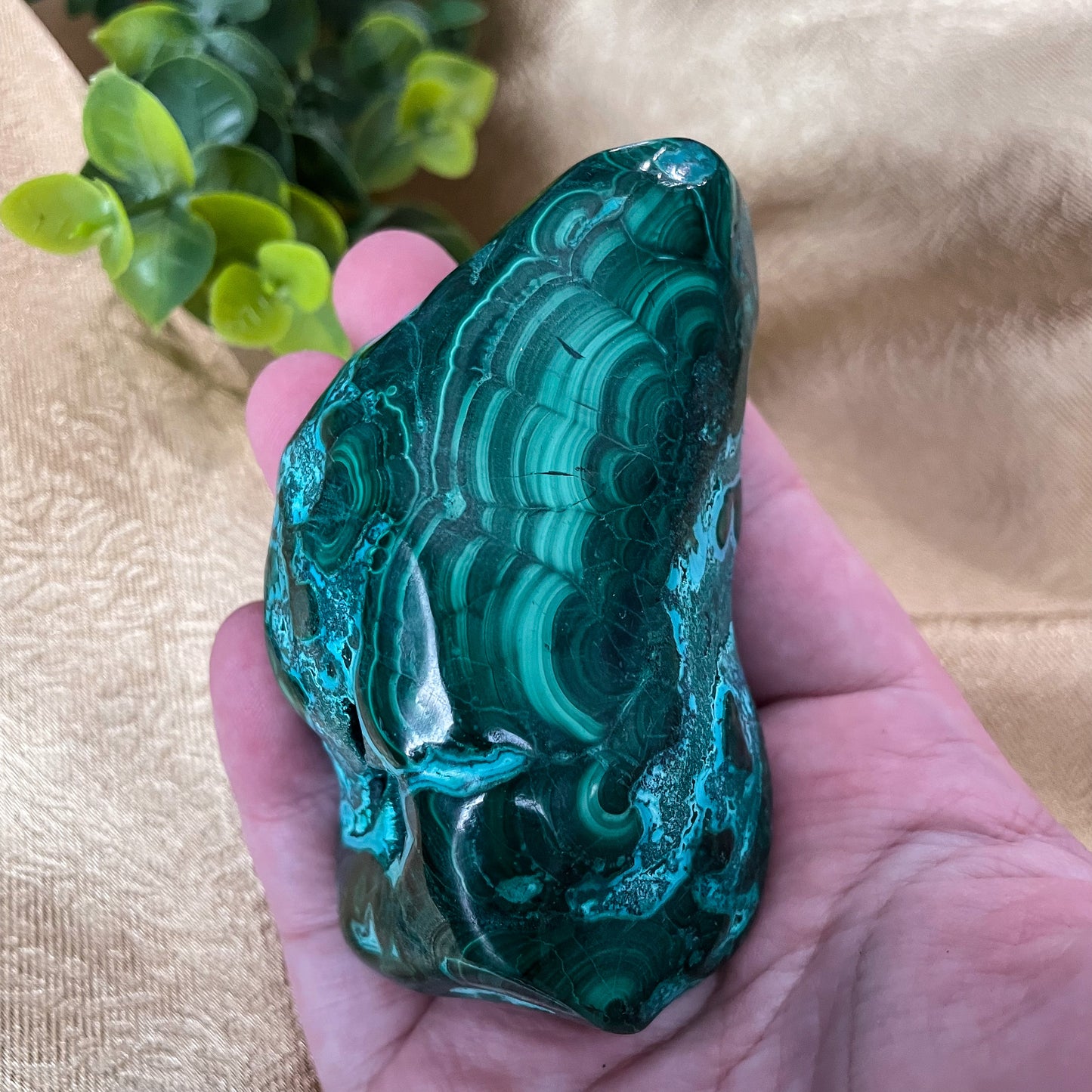 Malachite with Chrysocolla Freeform