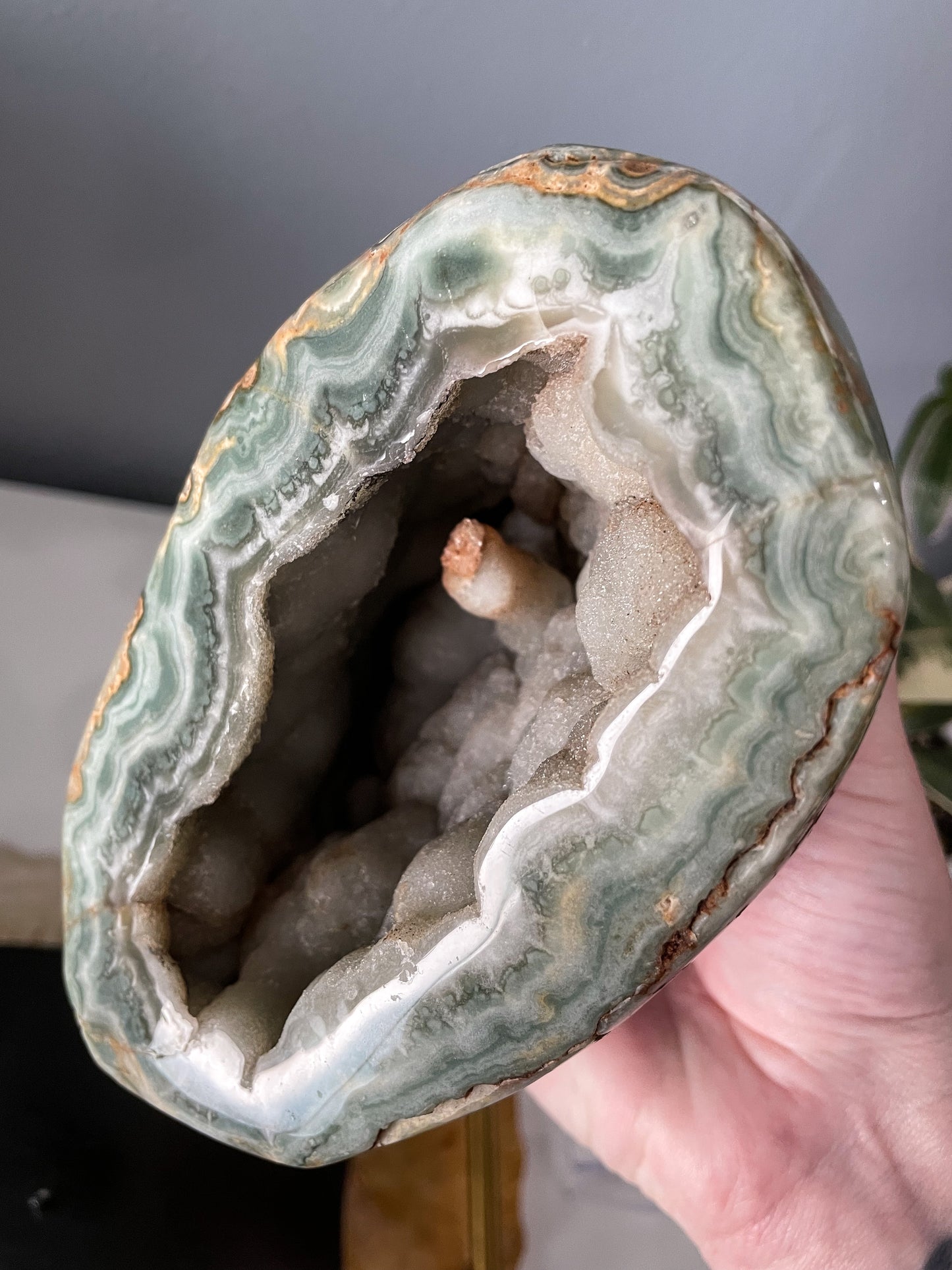 Druzy Green Jasper on Wood Base