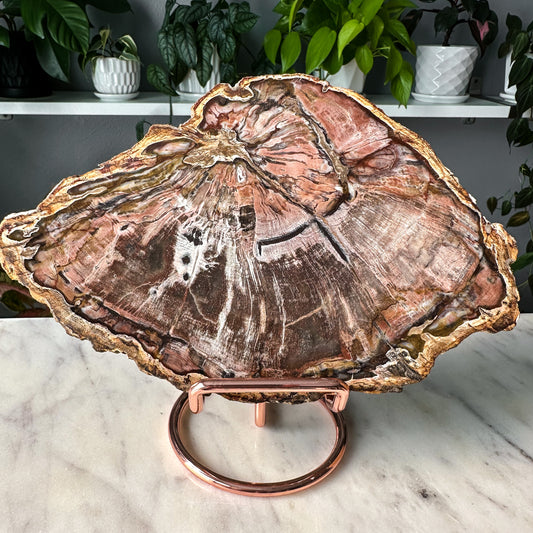 Pink Petrified Wood Slab