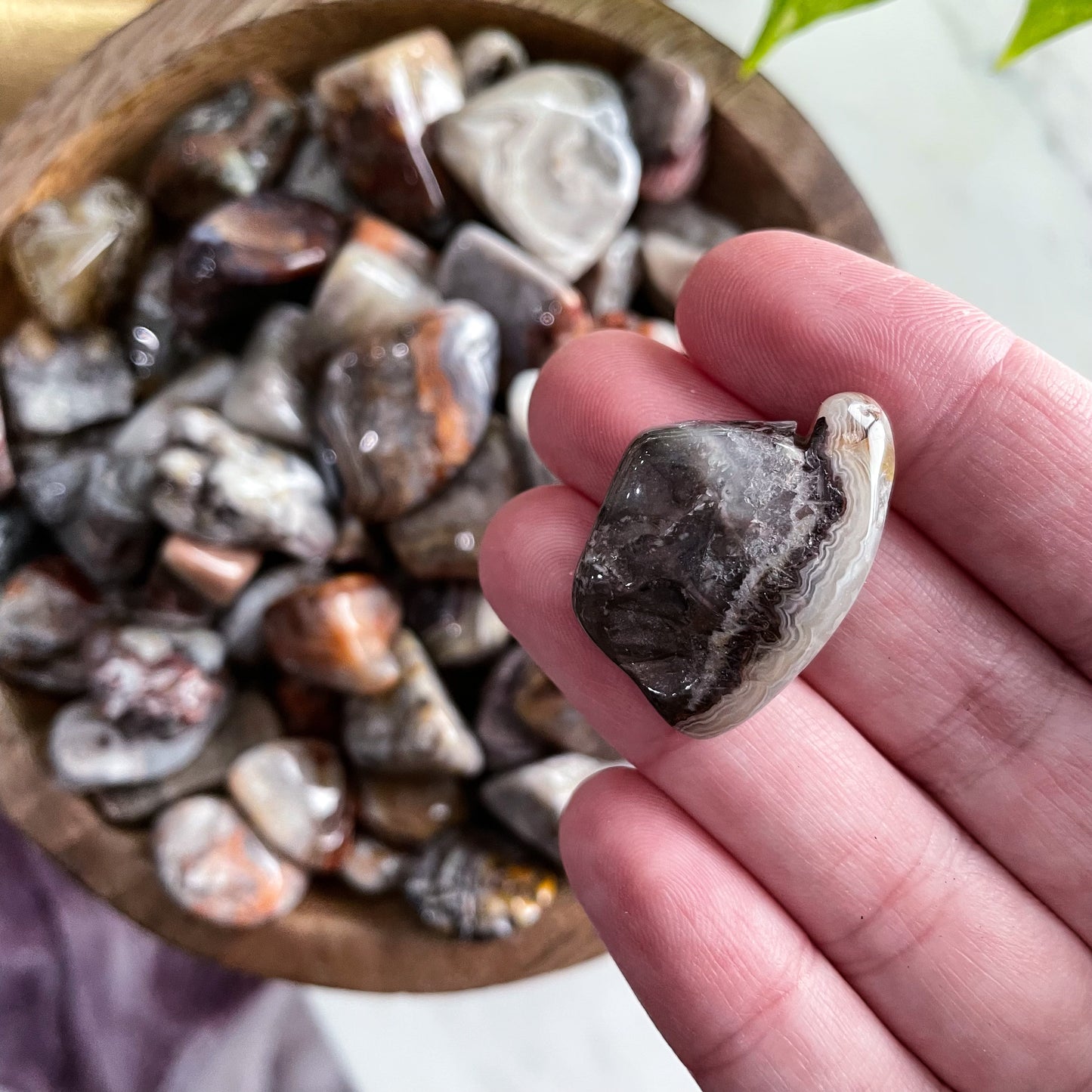 Crazy Lace Agate Tumble