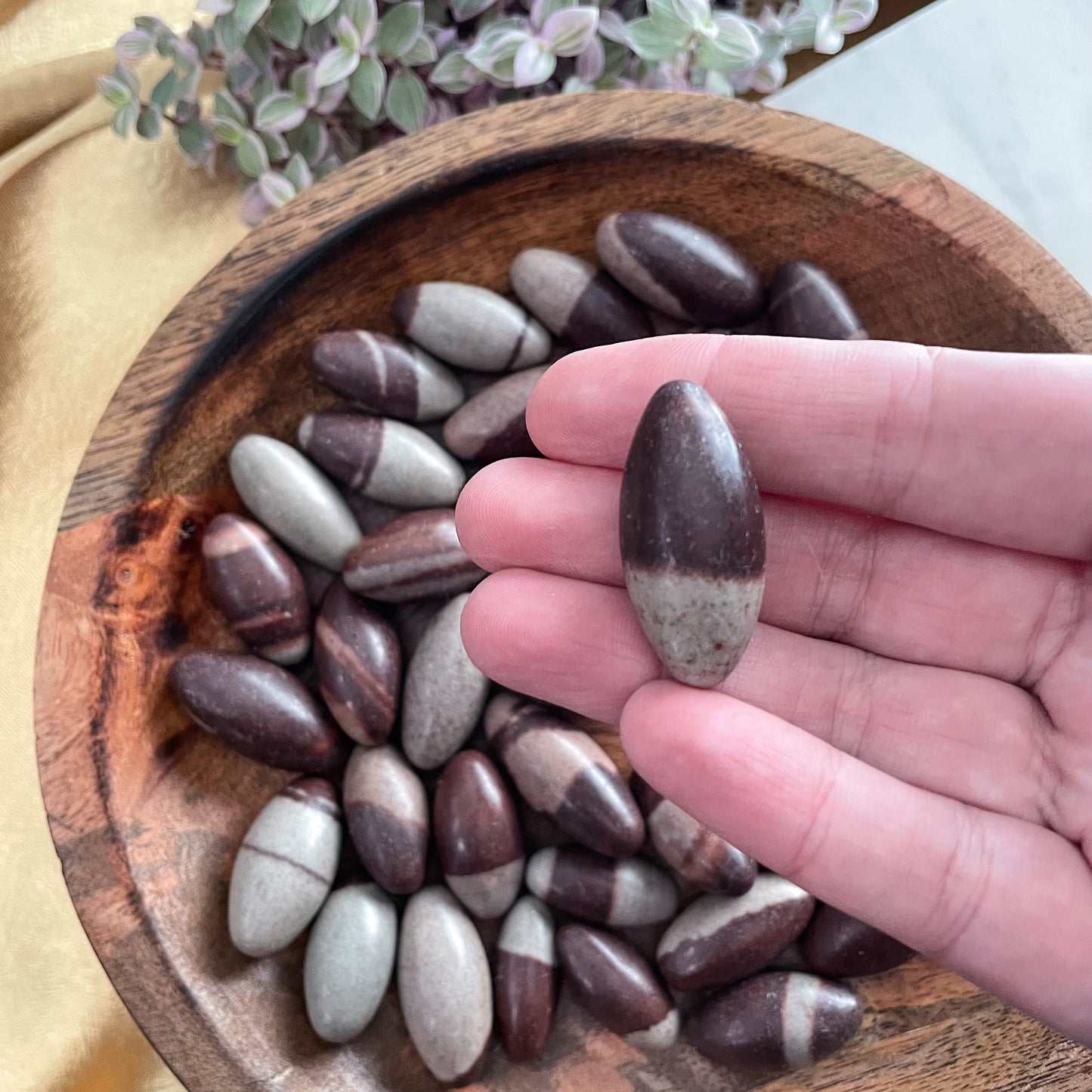 Shiva Lingum