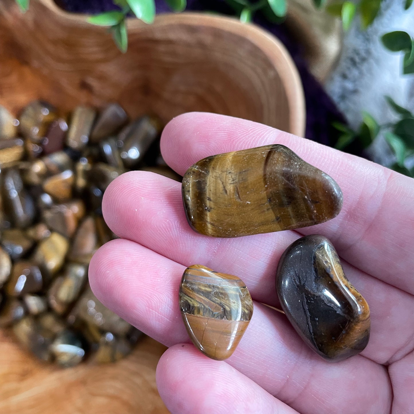 Small Tiger's Eye Tumbles