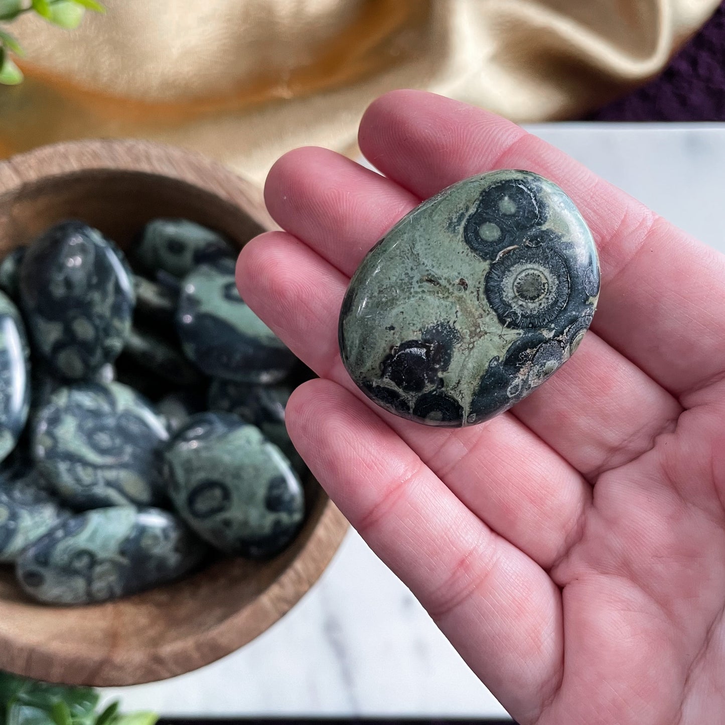 Kambaba Jasper Palm Stone