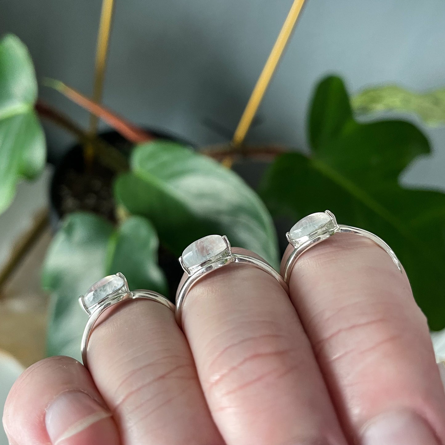 Rainbow Moonstone Eye Ring