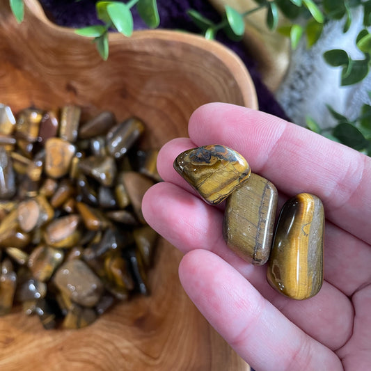 Small Tiger's Eye Tumbles