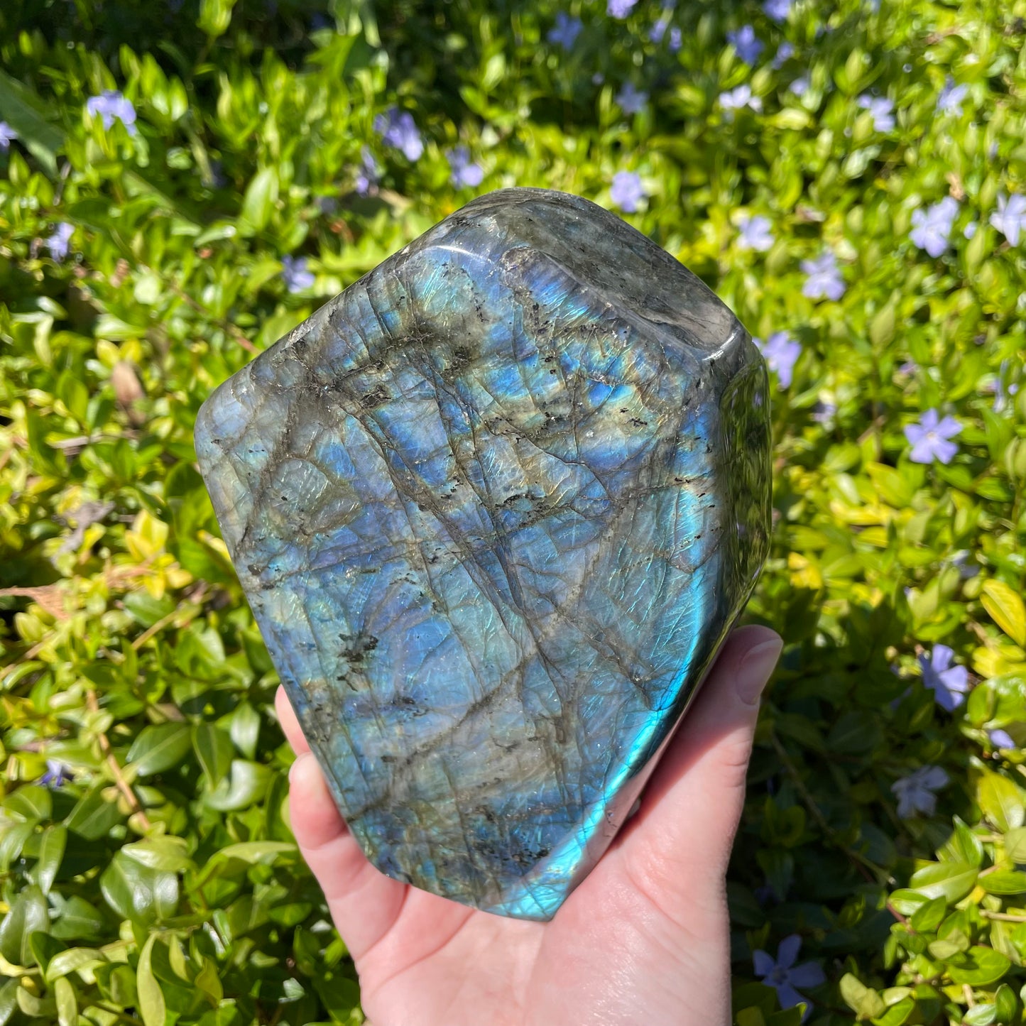 Large Labradorite Freeform