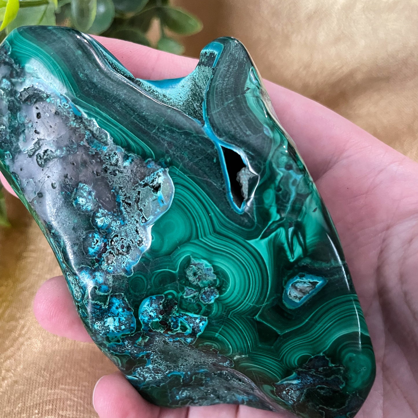 Malachite with Chrysocolla Freeform