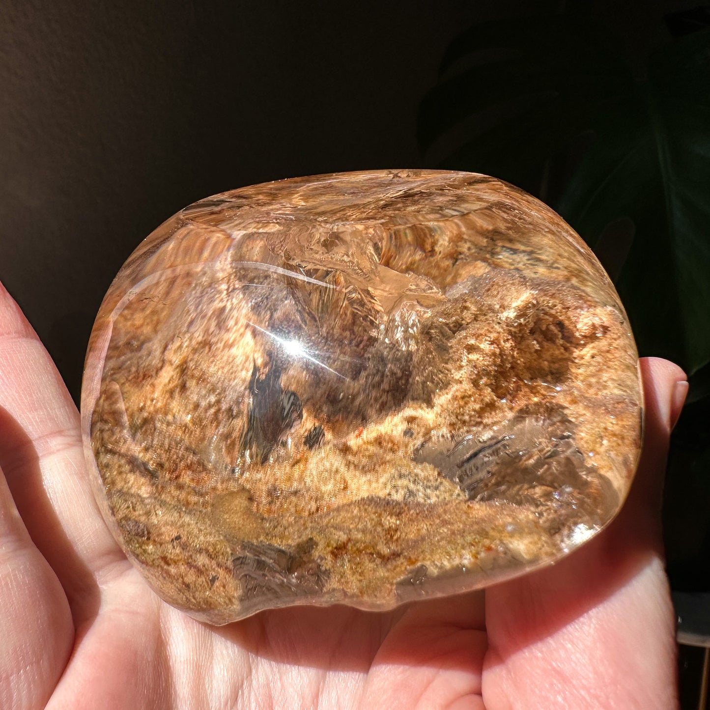 Garden Quartz Lens