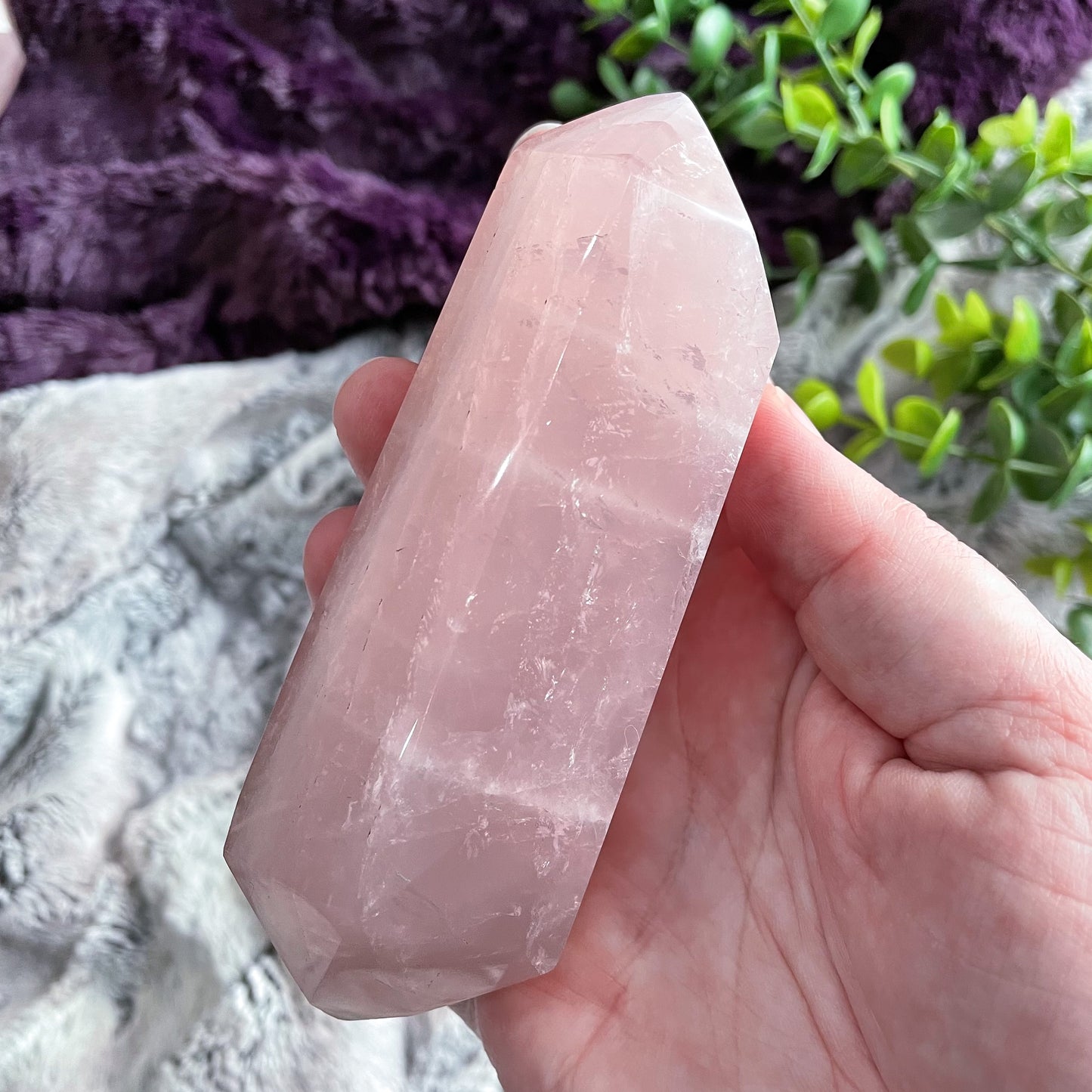 Rose Quartz DT