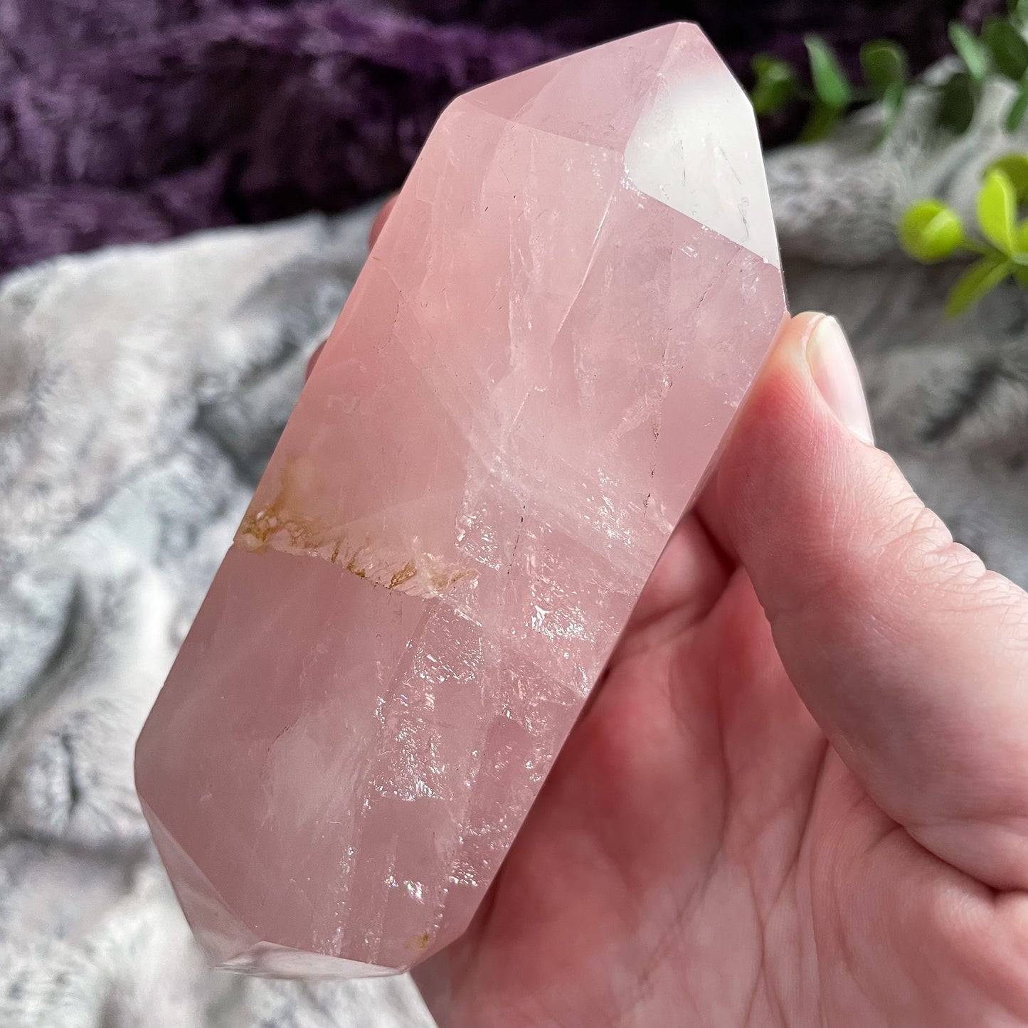 Rose Quartz DT