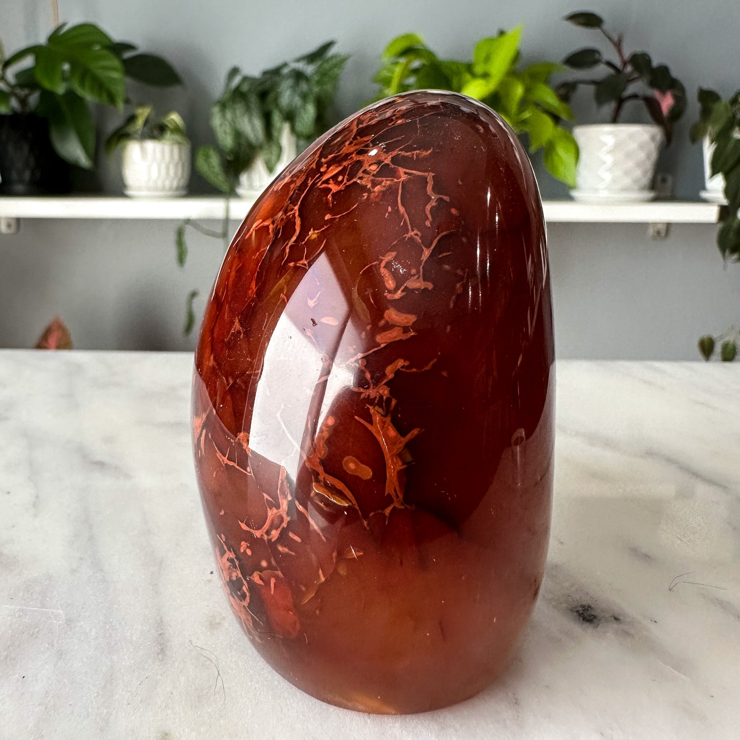 Carnelian Freeform