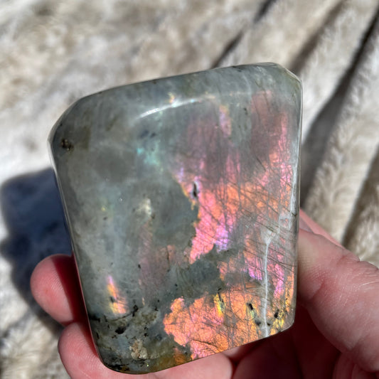 Spectralite Freeform