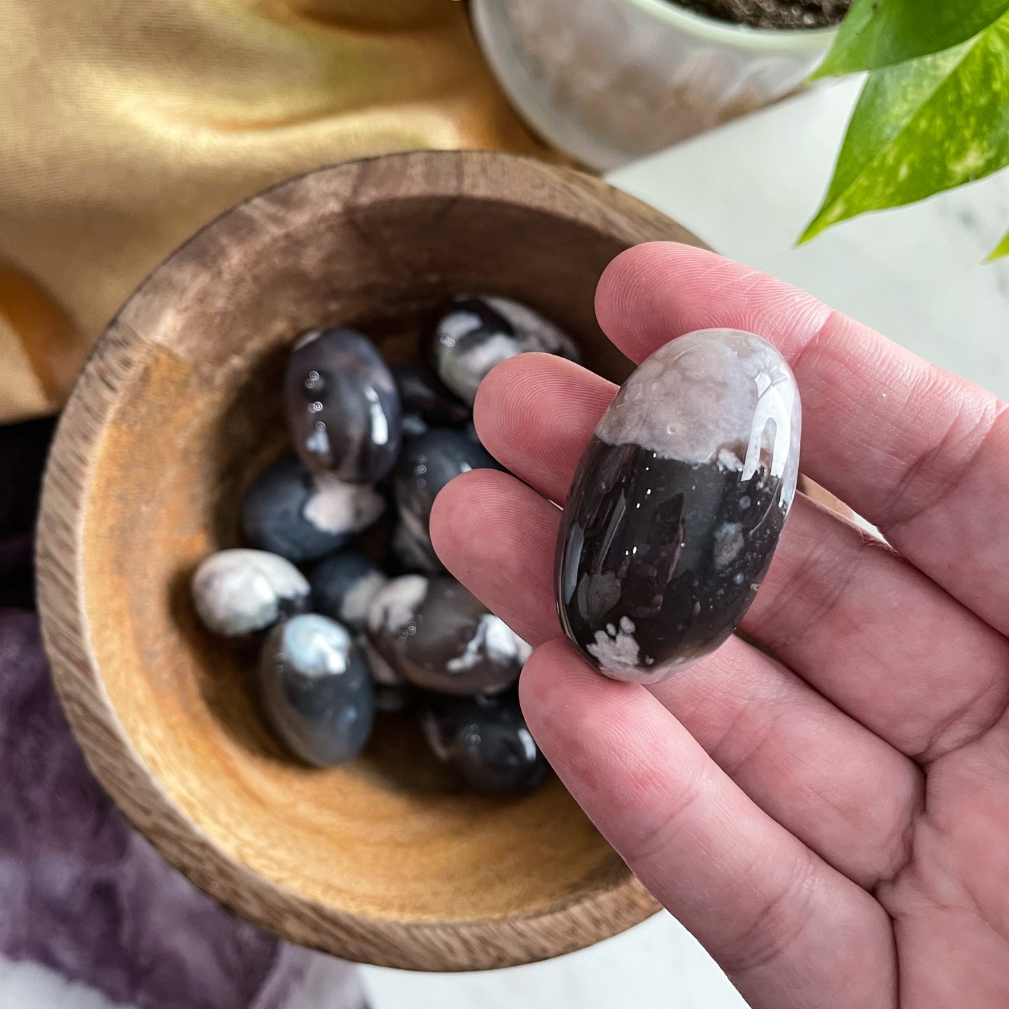 Black Flower Agate Shiva