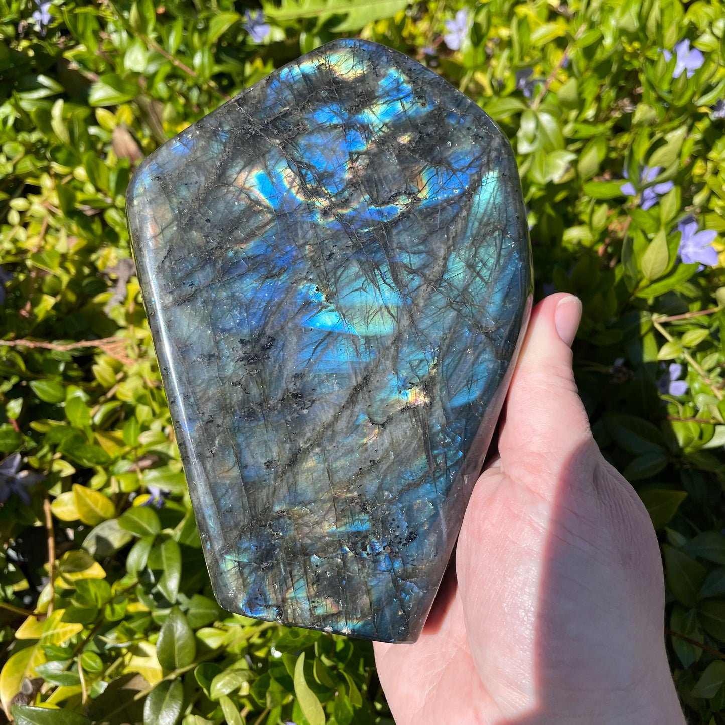 Large Labradorite Freeform