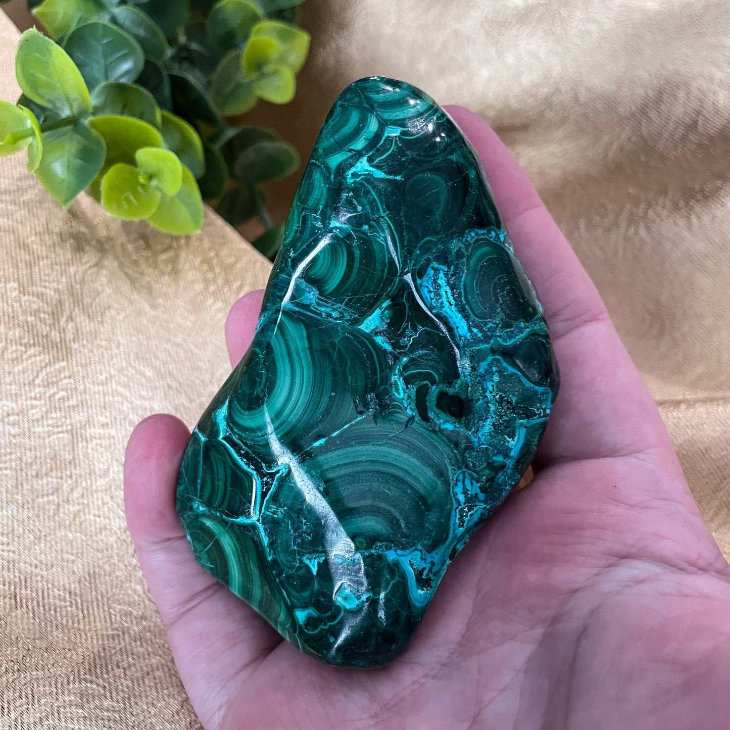 Malachite with Chrysocolla Freeform