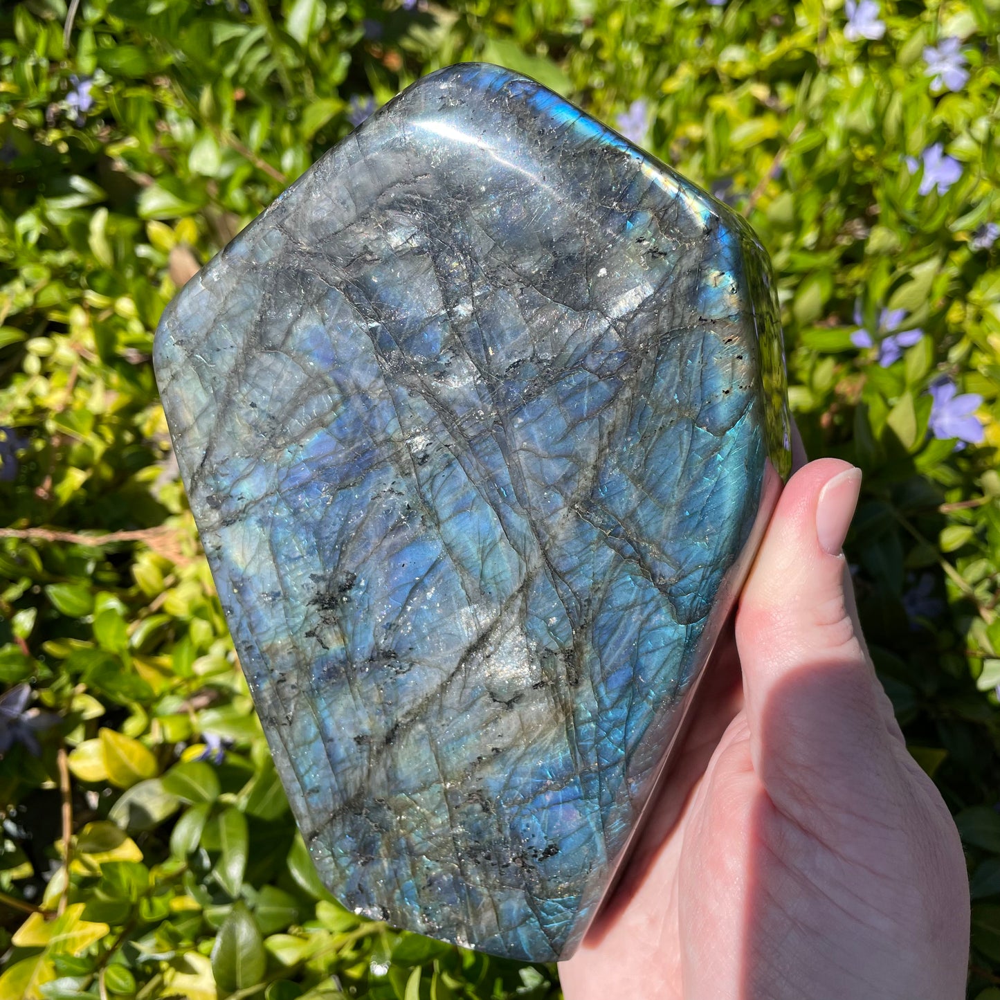 Large Labradorite Freeform