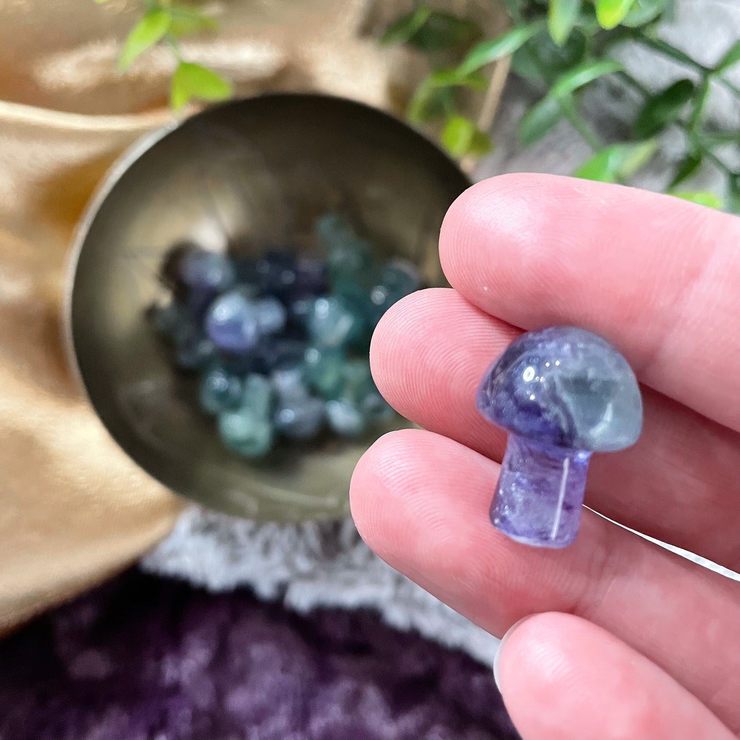 Rainbow Fluorite Mini Mushroom