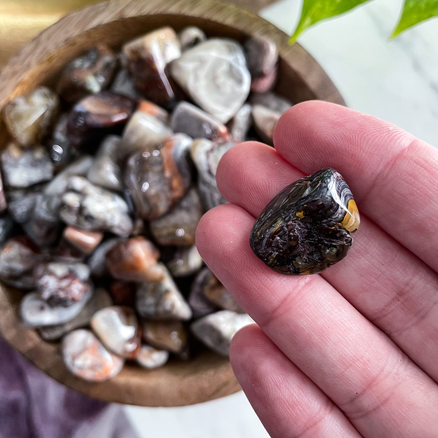 Crazy Lace Agate Tumble