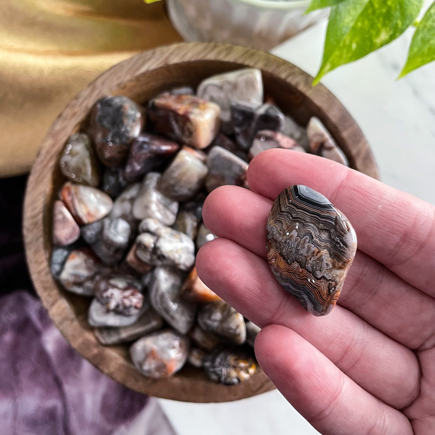 Crazy Lace Agate Tumble