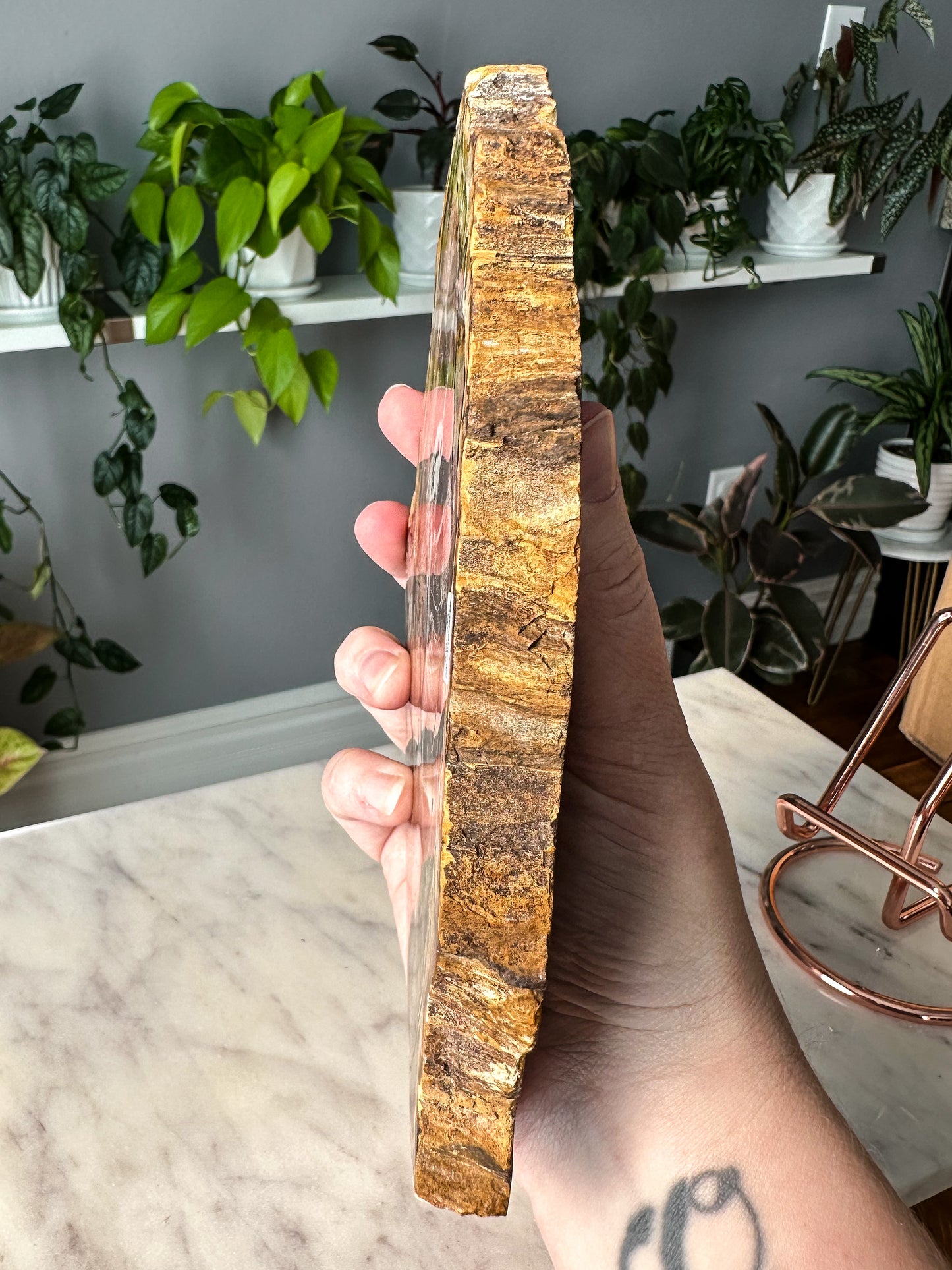 Pink Petrified Wood Slab