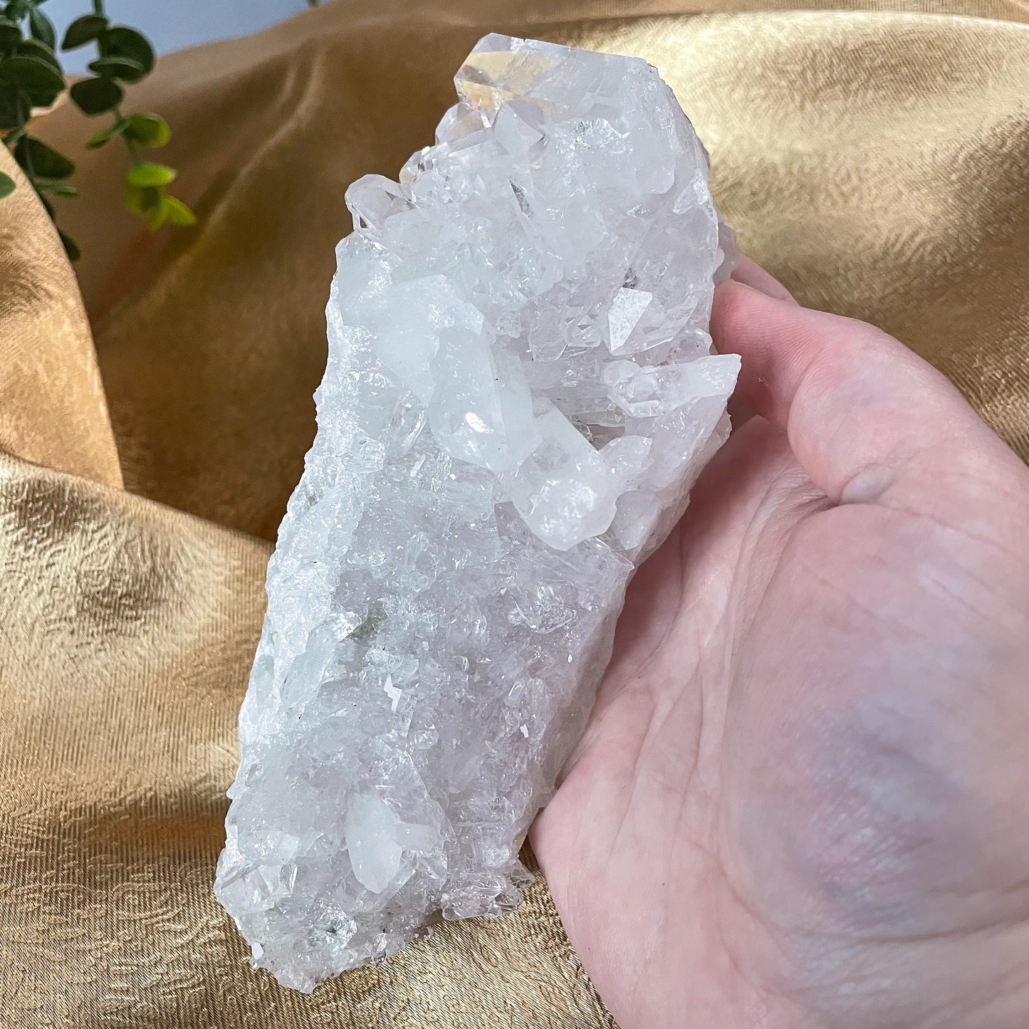 Clear Quartz Cluster