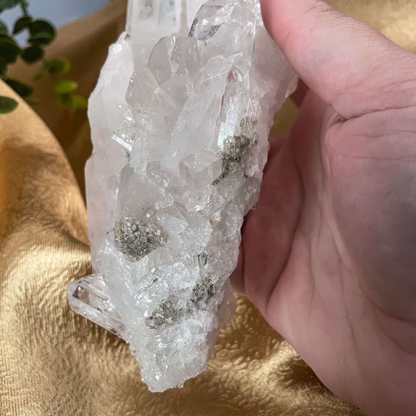 Clear Quartz Cluster