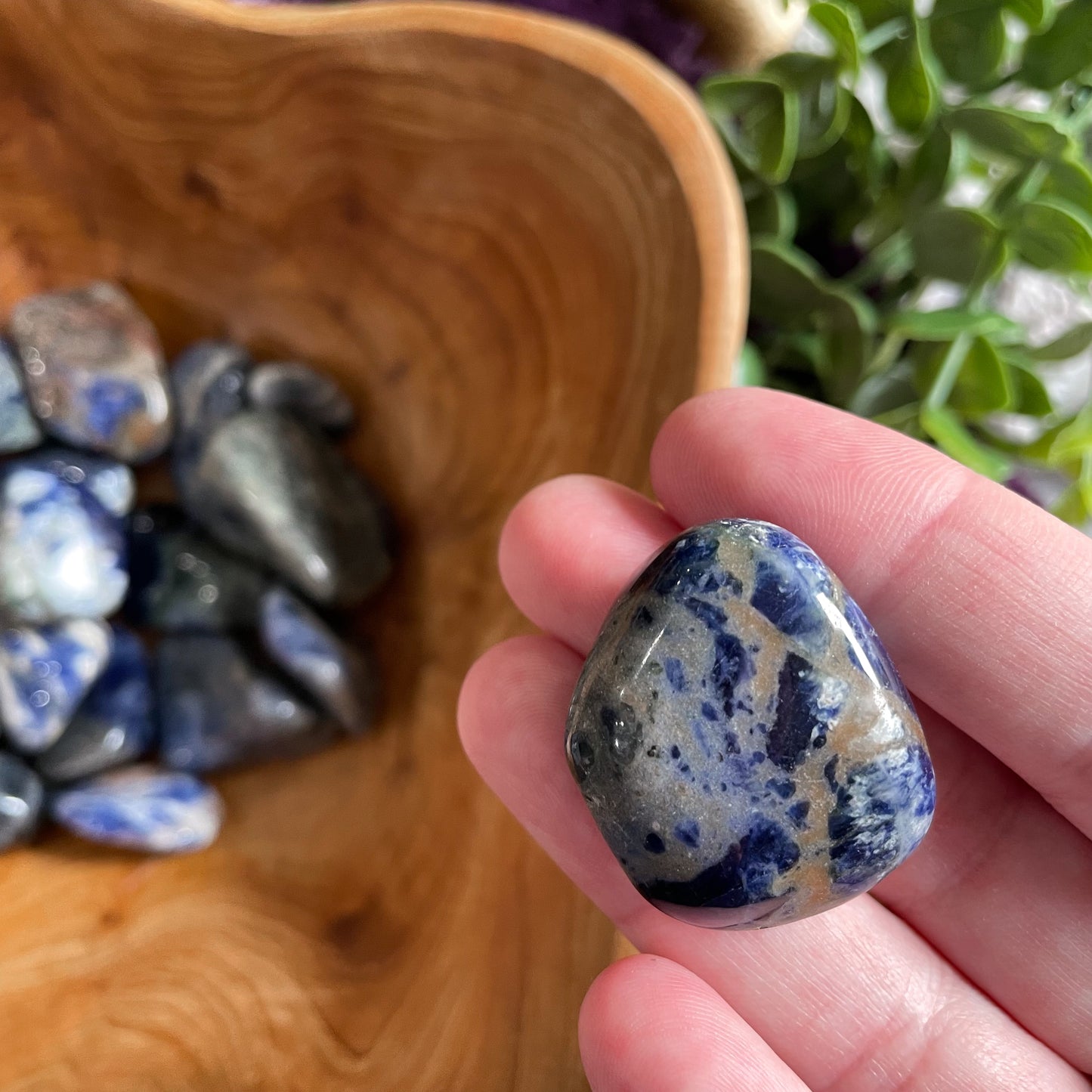 Sodalite Tumble