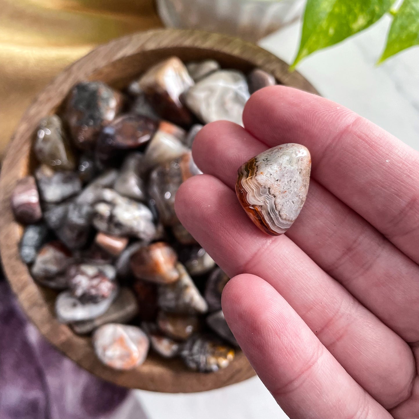 Crazy Lace Agate Tumble