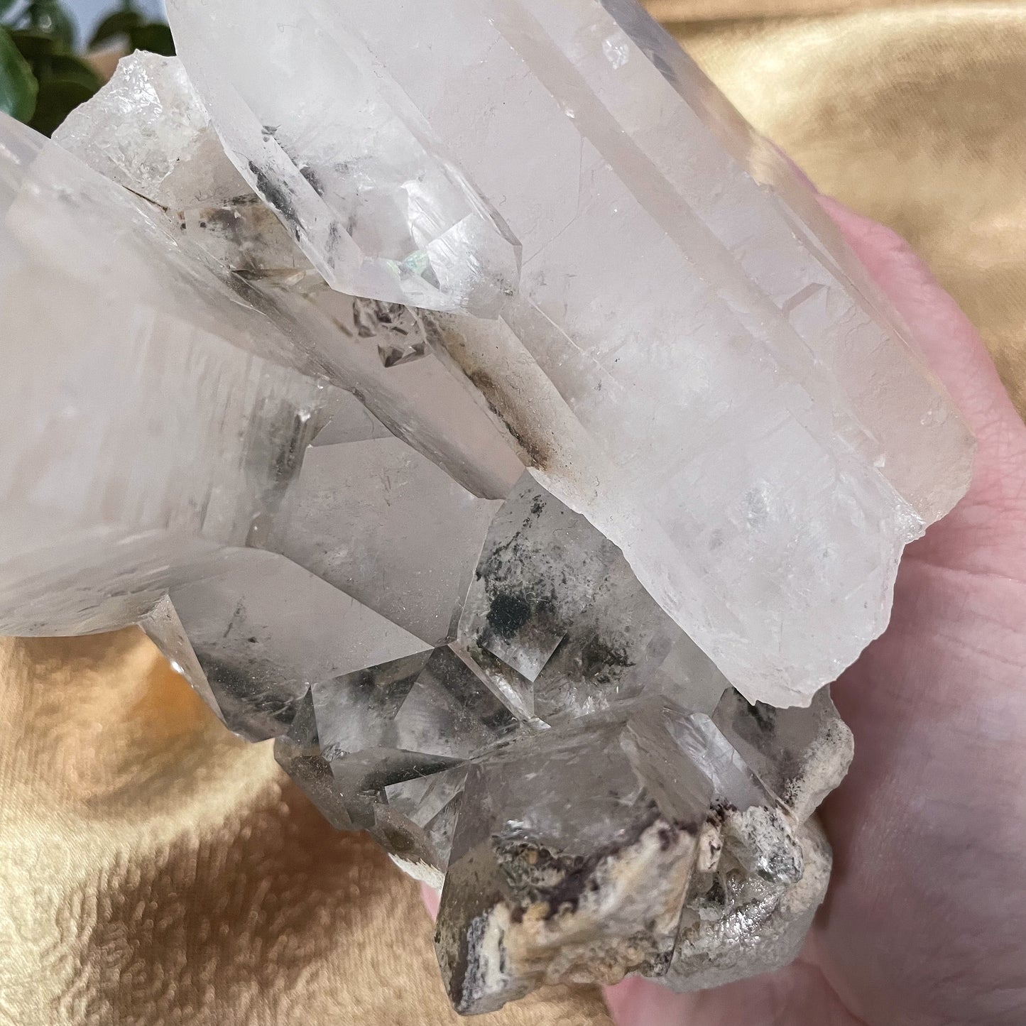 Clear Quartz Cluster