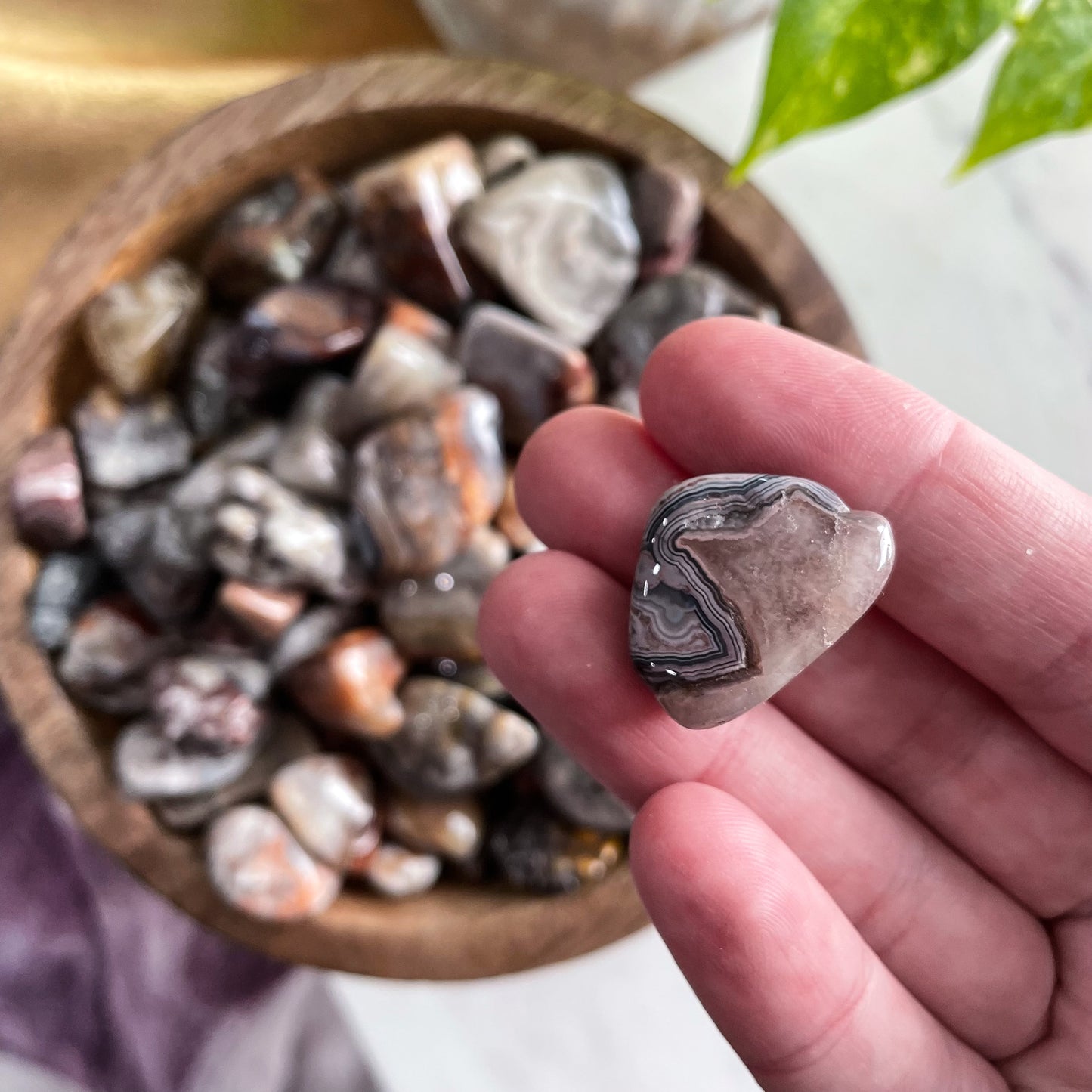 Crazy Lace Agate Tumble